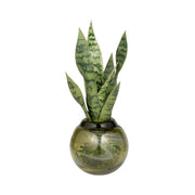 glass-7-bowl-green-swirl-7