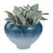glass-s-2-10-14-decorative-bowls-blue-4