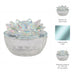 glass-trinket-box-clear-w-rainbow-10