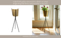 gold-metal-planter-black-tripod-31-5-6