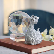 gray-spotted-cat-5-11