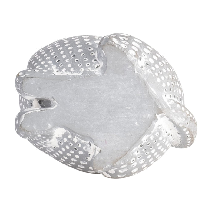 gray-spotted-cat-5-7