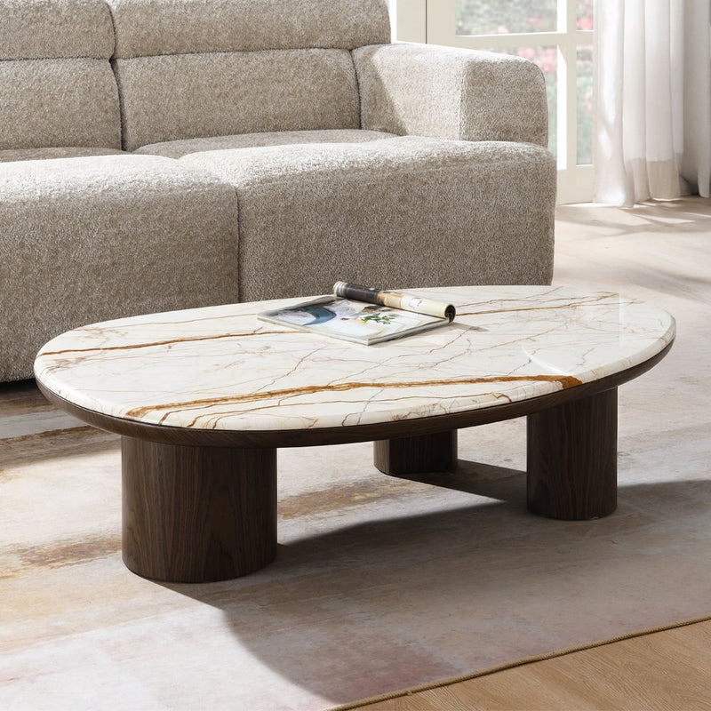 haidar-natural-marble-brown-coffee-table-w-natural-marble-1