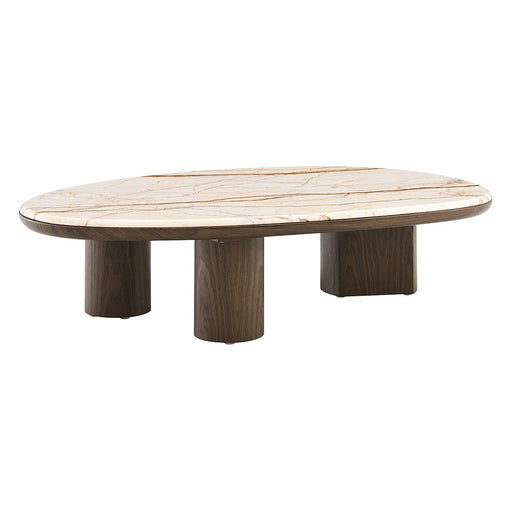 haidar-natural-marble-brown-coffee-table-w-natural-marble-2