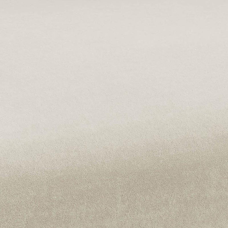 kim-velvet-chair-in-cream-6