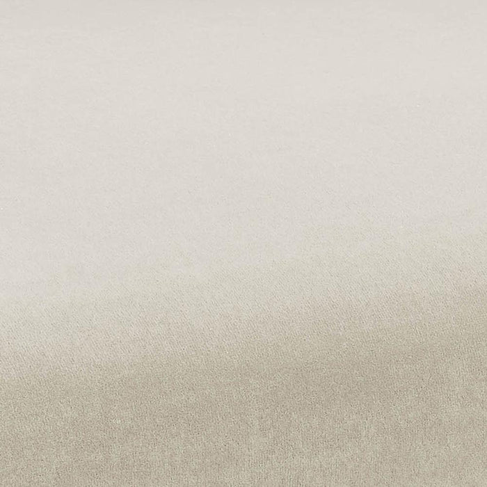 kim-velvet-chair-in-cream-6