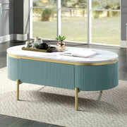 koblenz-coffee-table-light-teal-1