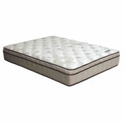 lilium-13-euro-pillow-top-queen-1