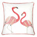 lina-20-x-20-pillow-pair-flamingo-2-ctn-1