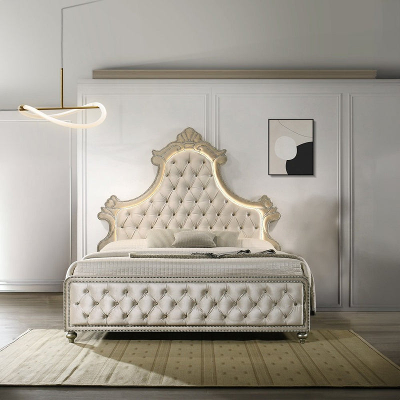 lucienne-beige-velvet-eastern-king-bed-w-led-3