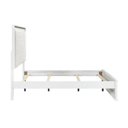 lumin-5pc-set-qb-ns-dr-mr-ch-11