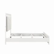 luna-4pc-set-qb-ns-dr-mr-1