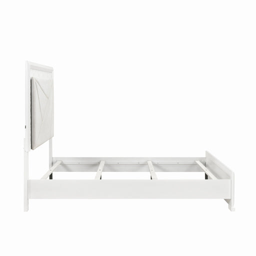 luna-4pc-set-qb-ns-dr-mr-1