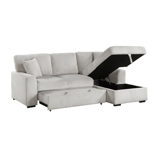 marsh-gray-2-2-piece-sectional-with-pull-out-bed-and-right-chaise-with-hidden-storage-2