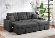 mccafferty-dark-gray-2-2-piece-sectional-with-pull-out-bed-and-right-chaise-with-hidden-storage-1