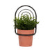 metal-11-h-wall-planter-black-terracotta-2