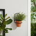 metal-11-h-wall-planter-black-terracotta-9
