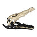 metal-16-alligator-skull-gold-black-1