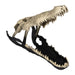 metal-16-alligator-skull-gold-black-2