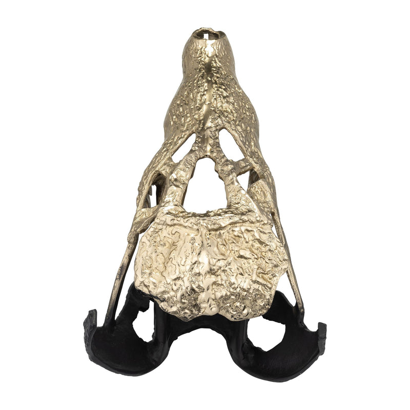 metal-16-alligator-skull-gold-black-4