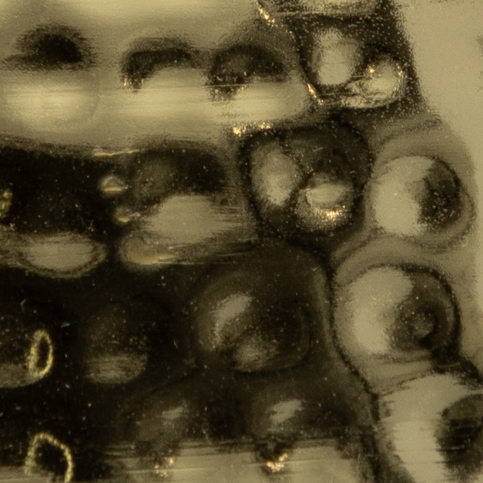 metal-28-mushroom-w-wood-base-gold-4