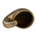 metal-4-h-hollow-shell-vase-champagne-6
