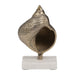 metal-7-banded-shell-on-marble-base-champagne-4