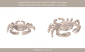 metal-7-crab-deco-silver-12