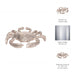 metal-7-crab-deco-silver-9