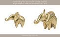 metal-7-trunk-up-elephant-gold-12