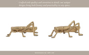 metal-9-grasshopper-gold-10