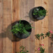 metal-s-2-9-12-wall-planters-black-9
