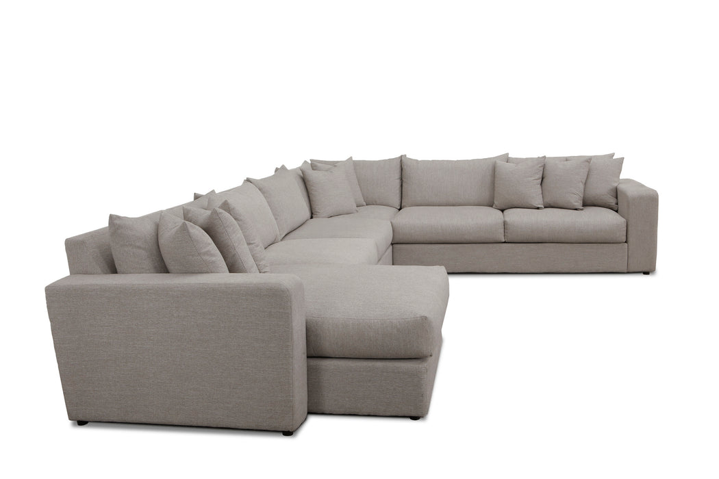 MOD #504 Hampstead Dove