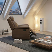 nest-camel-reclining-chair-13