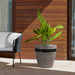 obsidian-medium-indoor-or-outdoor-planter-in-gray-concrete-with-black-accent-7