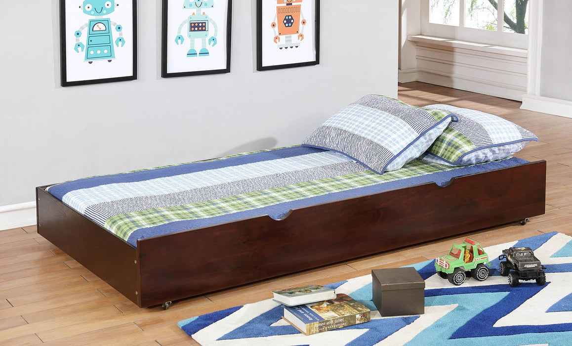 omnus-trundle-w-2-dividers-espresso-2