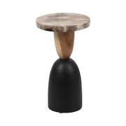 petrified-wood-20-accent-table-multi-1