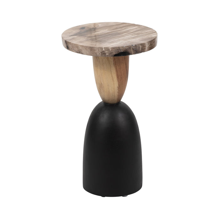 petrified-wood-20-accent-table-multi-2