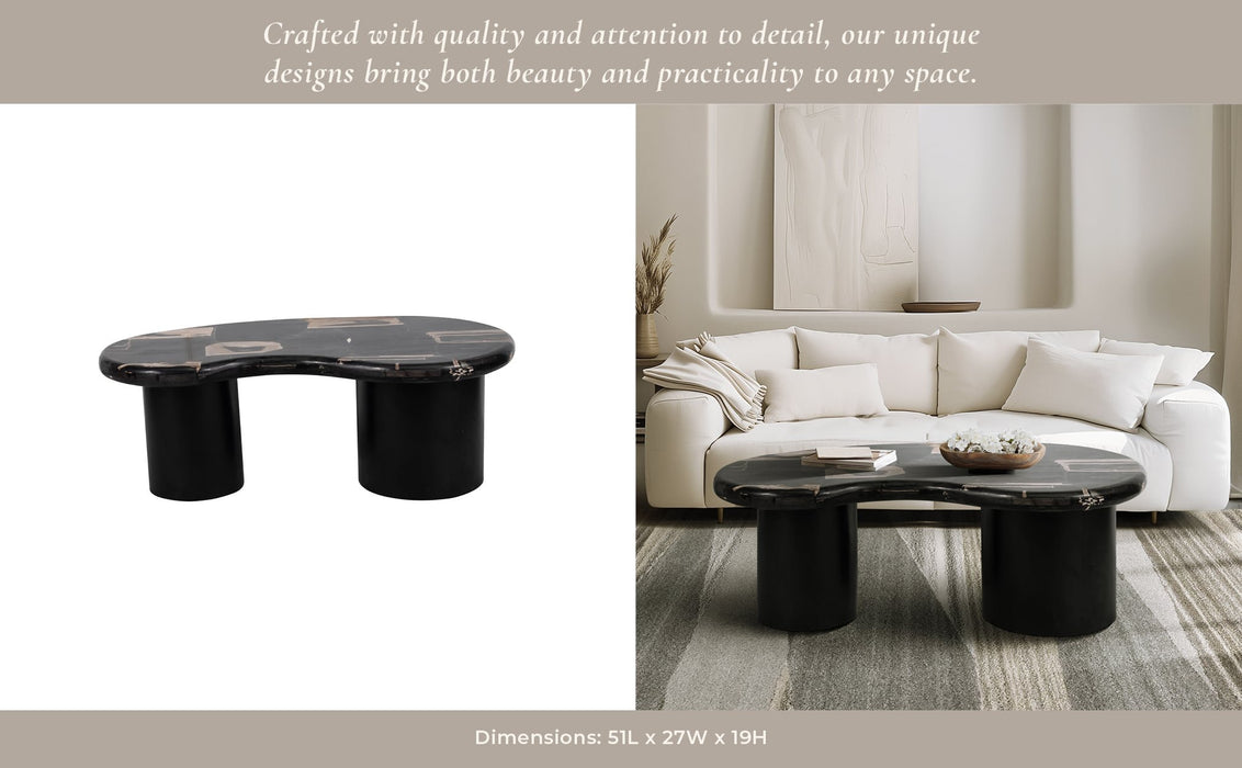 petrified-wood-51-kidney-coffee-table-black-11