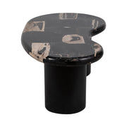 petrified-wood-51-kidney-coffee-table-black-3