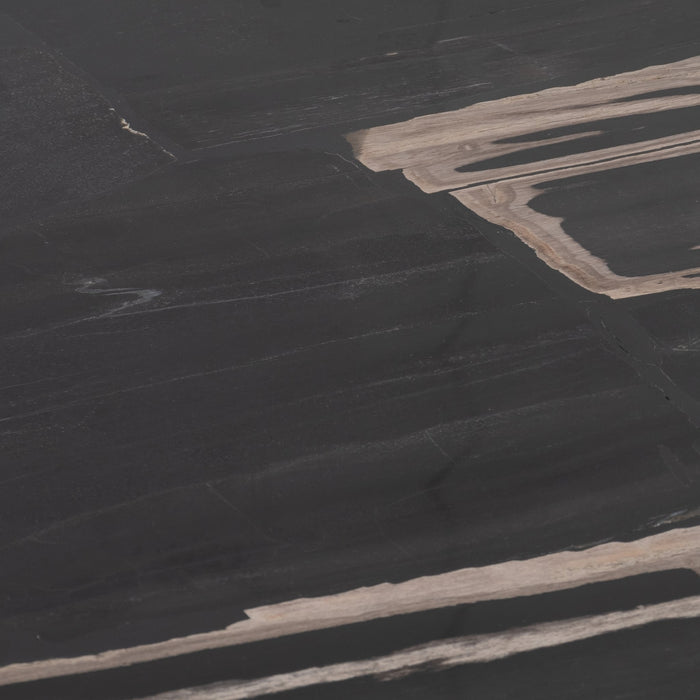 petrified-wood-51-kidney-coffee-table-black-5