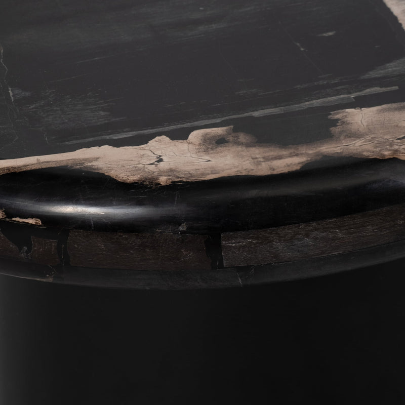 petrified-wood-51-kidney-coffee-table-black-6