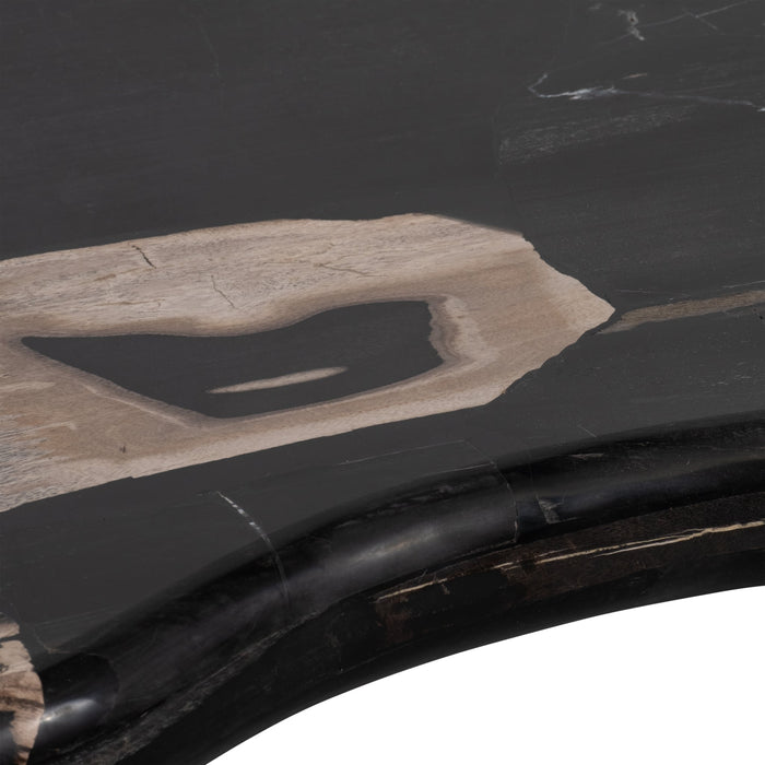 petrified-wood-51-kidney-coffee-table-black-7