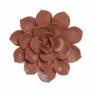 pink-wall-flower-1
