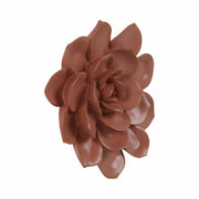 pink-wall-flower-2