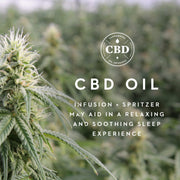 queen-zoned-dough-cbd-oil-pillow-3