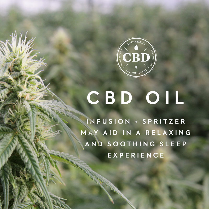 queen-zoned-dough-cbd-oil-pillow-3