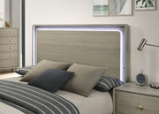 rainier-queen-bed-gray-3