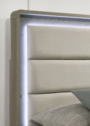 rainier-queen-bed-gray-4