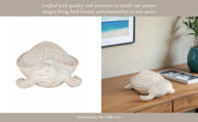 resin-15-turtle-deco-white-11